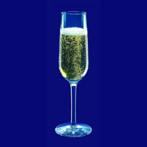 champagner-glas-01l-100ml-sektglas-proseccoglas-mehrweg-plastik-aus-kunststoff-9086.jpg