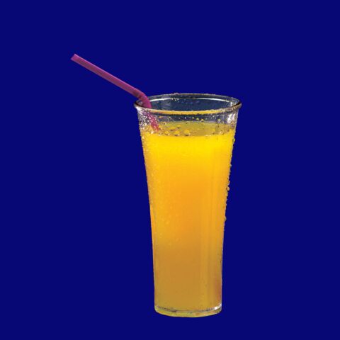Elegance Trinkbecher 0,3l PC glasklar